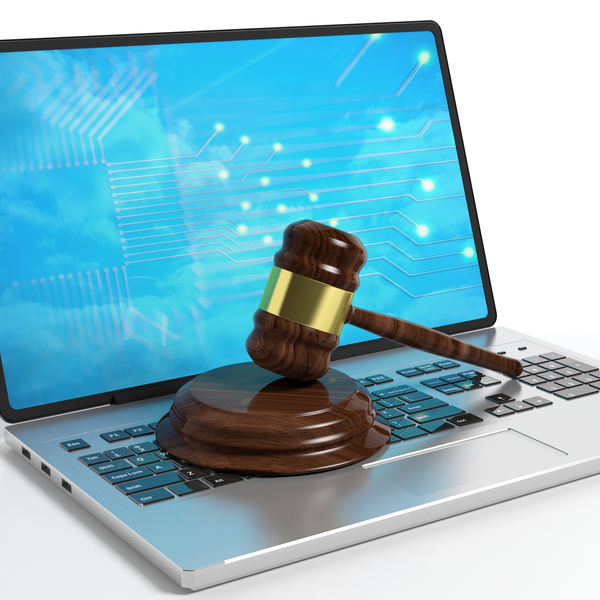 Overgangsrecht voor erfpachtafhankelijke opstalrechten en de openbaarheid van digitale zittingen